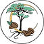 Logo - Canopée Coffee Lounge